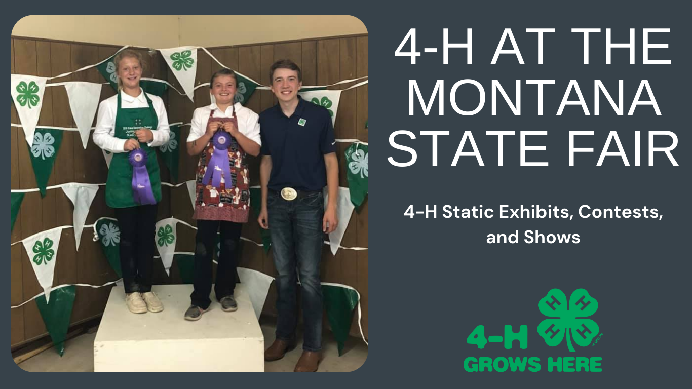 4H Fair MSU Extension Cascade County Montana State University